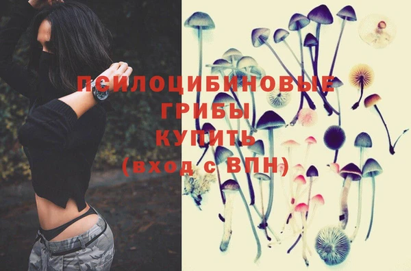 мяу мяу кристалл Богданович