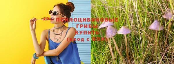 мяу мяу кристалл Богданович