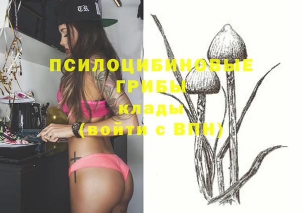 мяу мяу кристалл Богданович